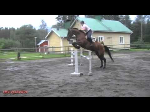 Krisse ja Cheri D'Aelsterhof Z [Cheri]