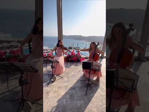 YouTube preview