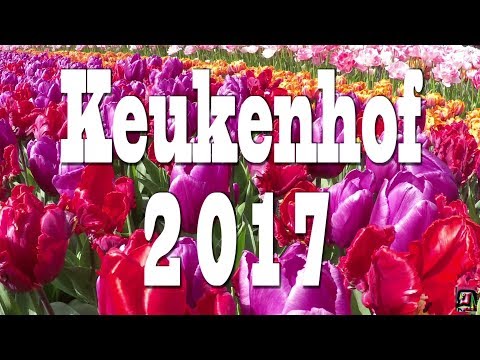 KEUKENHOF 2017. Full HD. Keukenhof ist einer der weltweit größten Blumengärten.