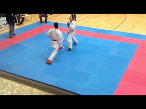 Karate Premier League Salzburg