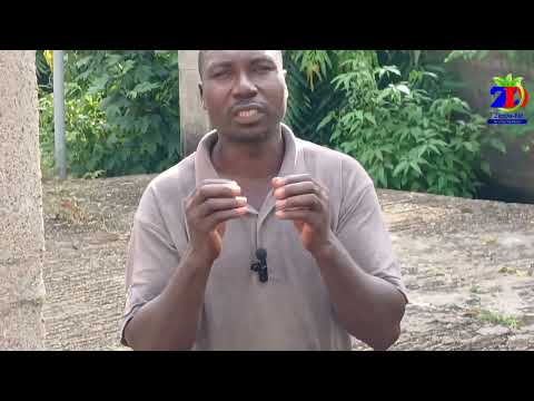 HEALTH BENEFITS OF HELITROPIUM INDICUM || STEPHEN GARIBA #stephengariba #holistichealth #health #new
