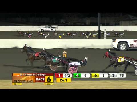 Meadowlands November 29, 2014 - Race 6 - Long Live Rock