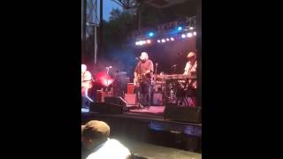 Los Lobos      Burn It Down