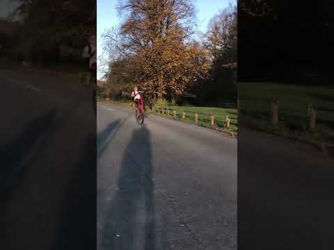 29 inch carrera wheelie 💯