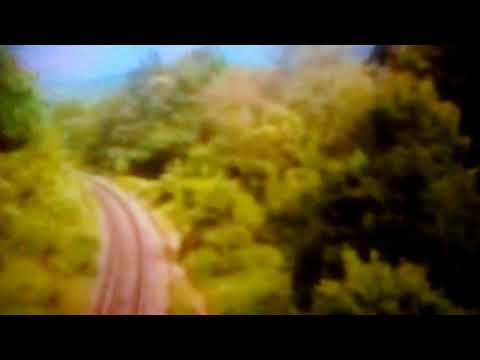 Trenuri/Trains în Județul Bihor. Vol 18 (23.05.2012).