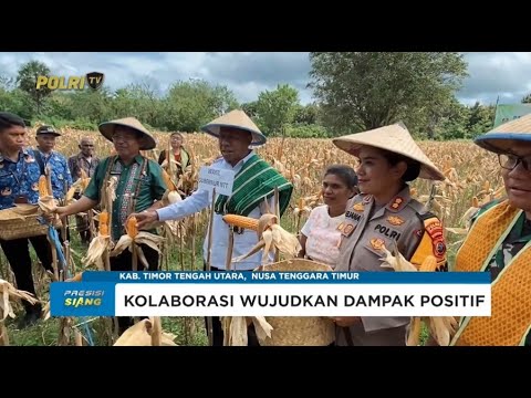 POLRES TIMOR TENGAH UTARA DUKUNG SWASEMBADA PANGAN BERSAMA PETANI