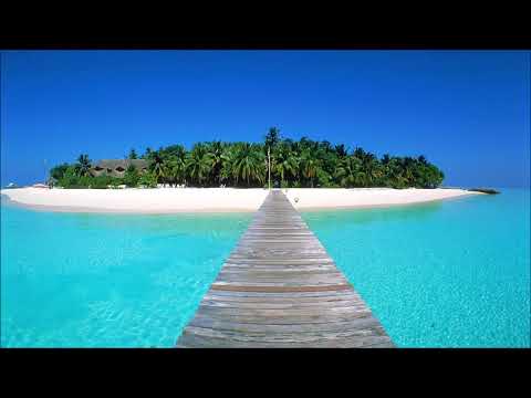 HOMO DEUS - 1. DEO KNJIGE / KRATKA ISTORIJA SUTRAŠNJICE / HOMO SAPIENS /JUVAL NOA HARARI