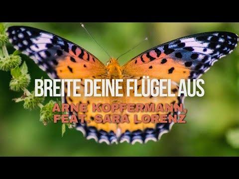 Breite deine Flügel aus - Arne Kopfermann, feat. Sara Lorenz (Lyrics Video)