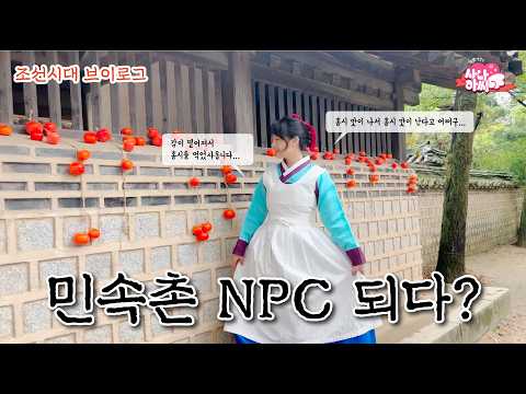 비디오 8