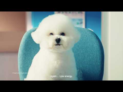 Godrej Pet Care's 'Godrej Ninja Dr Dogg' campaign. 