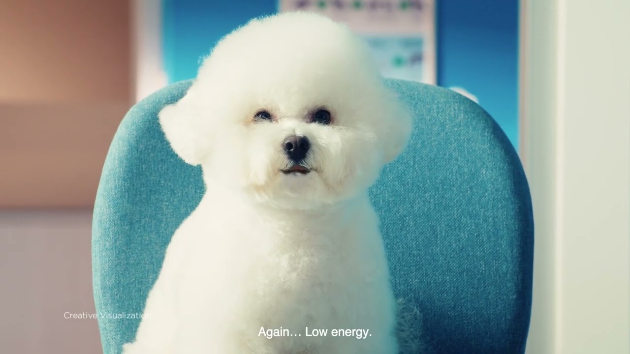 Godrej Pet Care's 'Godrej Ninja Dr Dogg' campaign. 