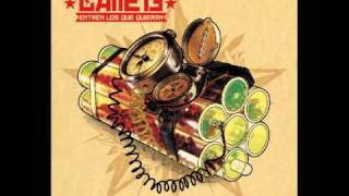 Todo Se Mueve - Calle 13 Ft Seun Kuti