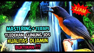 Download lagu MASTERAN TLEDEKAN GUNUNG GACOR FULL ISIAN - SUARA GEMERICIK AIR mp3