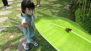 2022NOV21 Sanggraloka Farm & UC silver gold