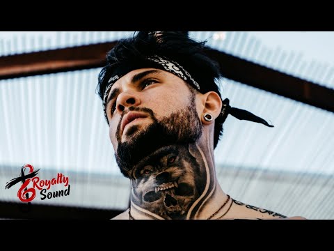 Stretchd - Human Heart (House)