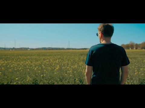 Pivo Deinert - Träumerherz | Lyricvideo