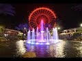 The Orlando Eye Night Time On Ride