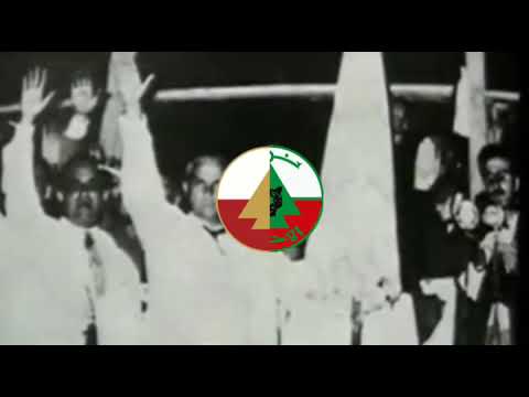 15 Minutes of NLP (Free Tigers) music