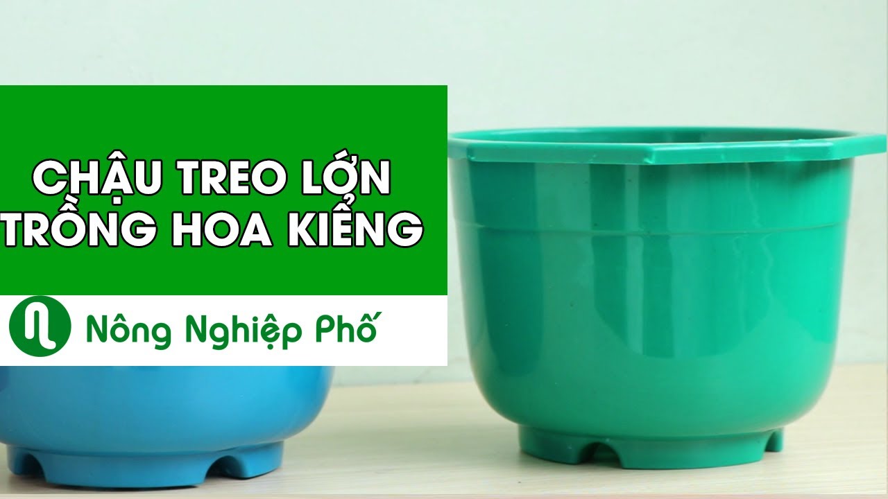 Chậu treo trồng hoa kiểng 19x13cm (HD)