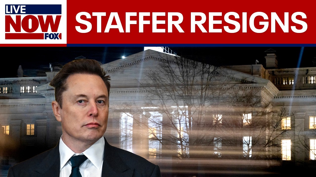 DOGE staffer resigns after racist posts resurface | LiveNOW from FOX