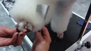 Creating Poodle Cuffs