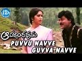 Aapadbandhavudu Movie Puvvu Navve Guvva Navve Video Song Chiranjeevi Meenakshi Seshadri