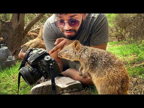 Animals Catch Photographers by Surprise in the Funniest Ways 🤪 Funny Animal Videos