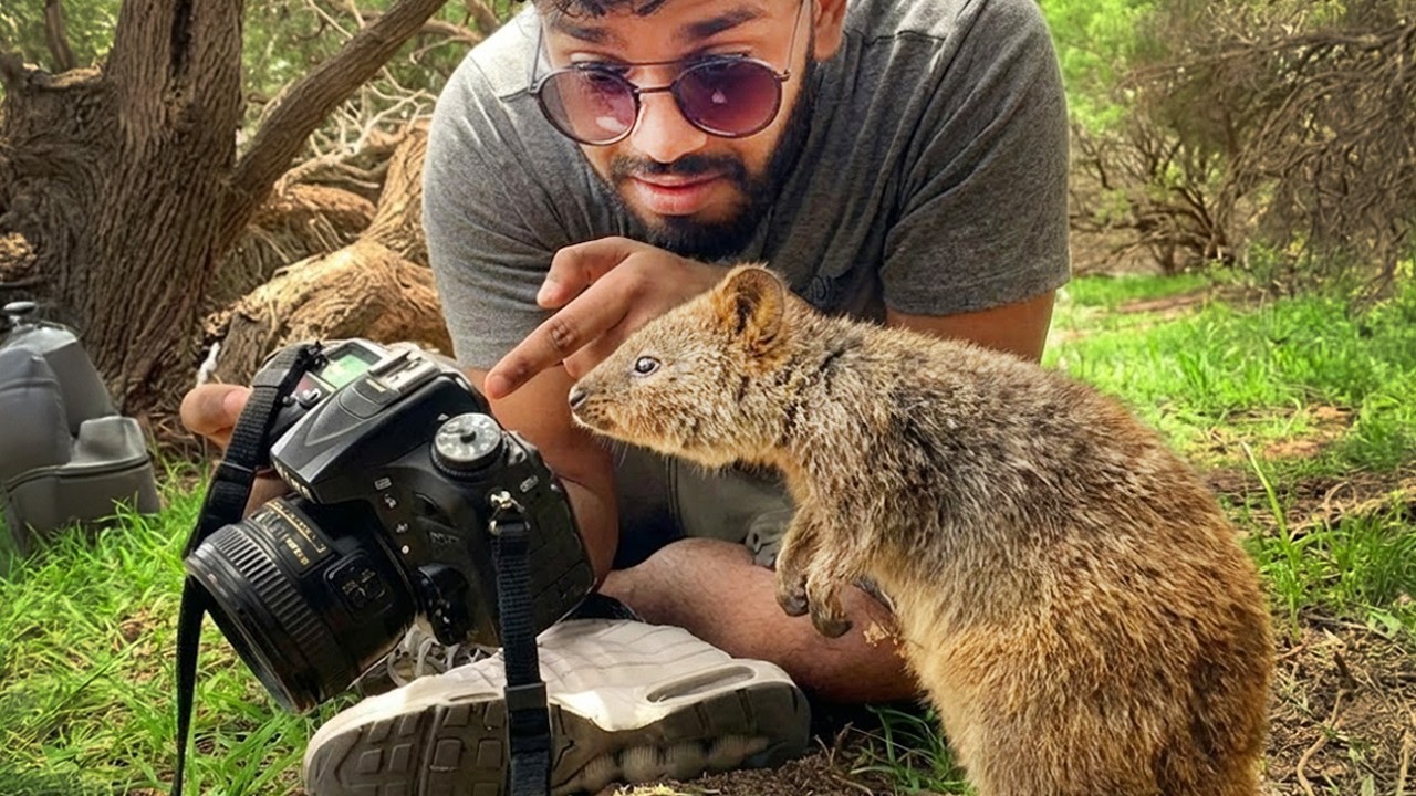 Animals Catch Photographers by Surprise in the Funniest Ways 🤪 Funny Animal Videos