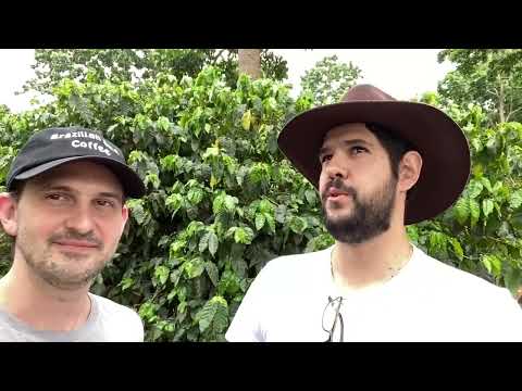 Vinhal light roast versus dark roast video