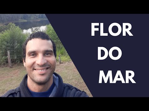 Flor Do Mar - Ale de Maria