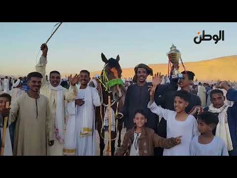 أكثر من 200 خيل أصيل يشاركون في سباق «مرماح دراو» السنوي على أرض بلانة بـأسوان