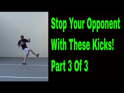 Stopping Kicks: Part 3 Oblique Kick