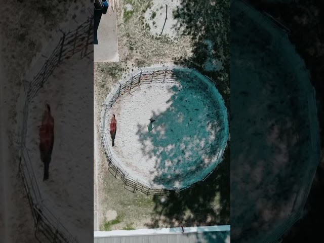 PROPRI&Eacute;T&Eacute; EQUESTRE 4 ha - 30 min STRASBOURG
