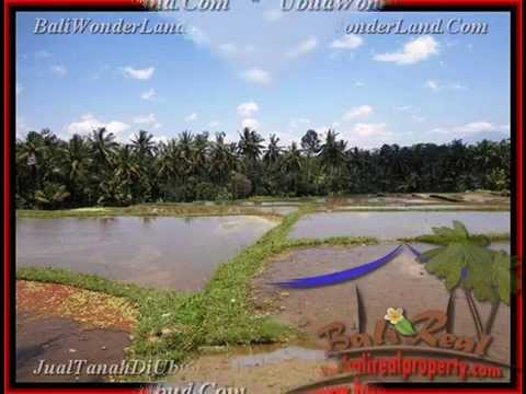8.000 m2 Lahan View Sawah, Sungai, Gunung di Sentral Ubud TJUB441 8.000 m2 Lahan View Sawah, Sungai, Gunung di Sentral Ubud TJUB441