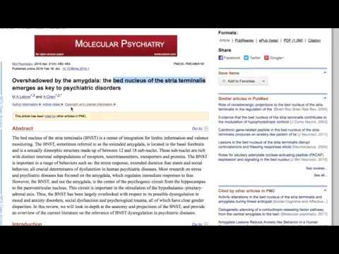 download lagu mp3 mp4 Bnst, download mp3 Bnst free download, download mp3 Bnst