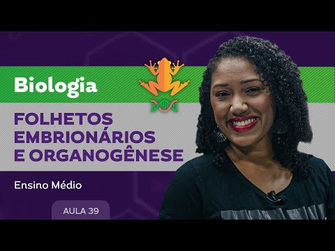 Folhetos embrionários e organogênese - Biologia - Ensino Médio