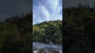 Download lagu Ku_Bahagia-Melly Goeslaw ( Story Wa ) mp3 Download lagu Ku_Bahagia-Melly Goeslaw ( Story Wa ) mp3