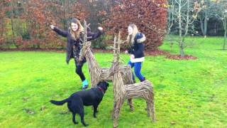 "Calypso Carol" Christmas 2016