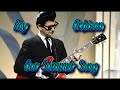 Roy Orbison   Our Summer Song