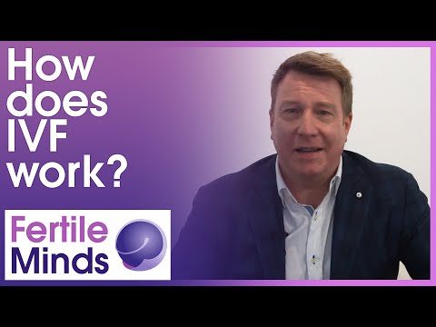 How Does IVF Work? - Fertile Minds