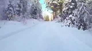preview picture of video 'Snowmobile Video After The Storm 1/21/15 NEK of Vermont'
