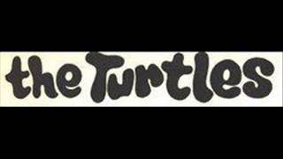 The Turtles Happy Together Cover