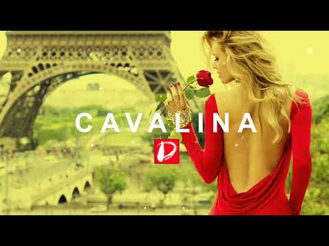 Dejan Danilo || CAVALINA