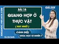 Khoa học tự nhiên 7 Cánh diều | Bài 18: Quang hợp ở thực vật - Trang 90, 92 - Giải KHTN 7