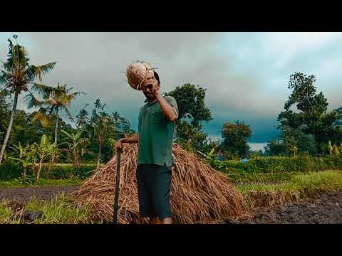 #IZINCOVERLAGUBALI#BPCTEAM |BELOG TIWAS SUMA ARDANA|