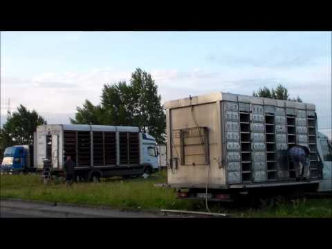 2016.07.18. Magdeburg start 6:00 Dél-Duna tagszövetség