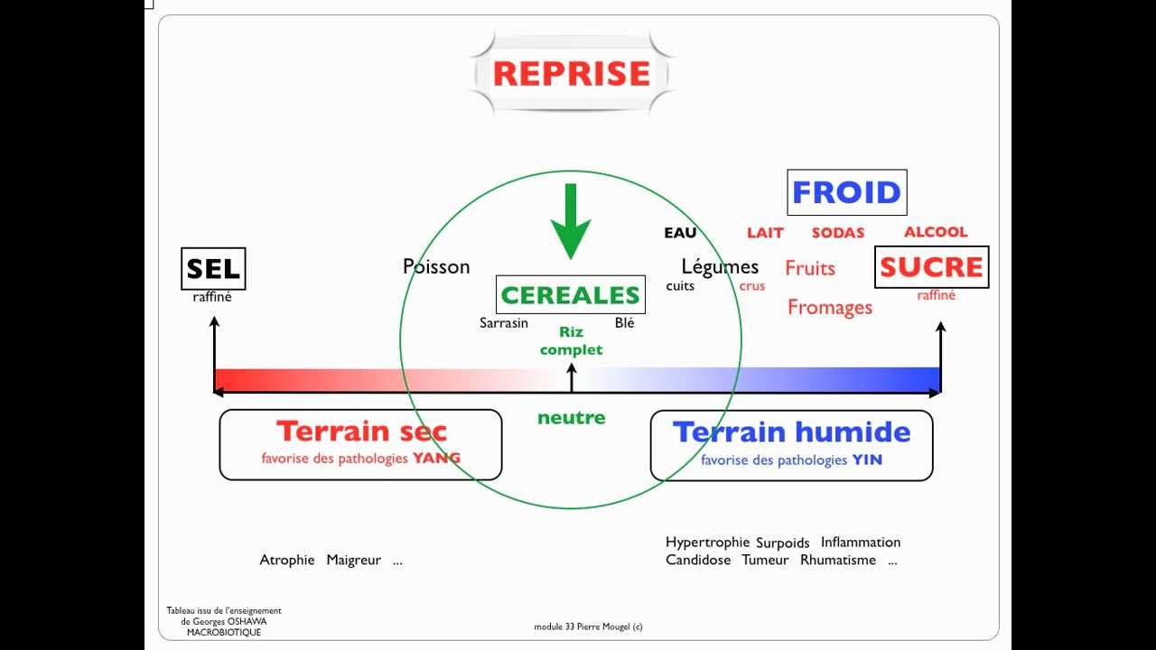 Introduction à la Macrobiotique