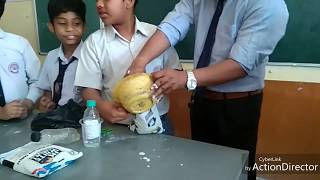 preview picture of video 'How to make a cement pot with Artist Ankur Verma'