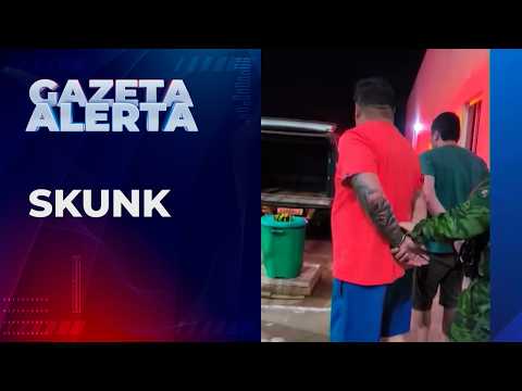 Gefrom apreende mais de 20kg de skunk e prende suspeitos de trafico de drogas em senador guiomard