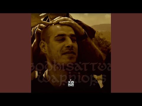 Bodhisattva Warriors